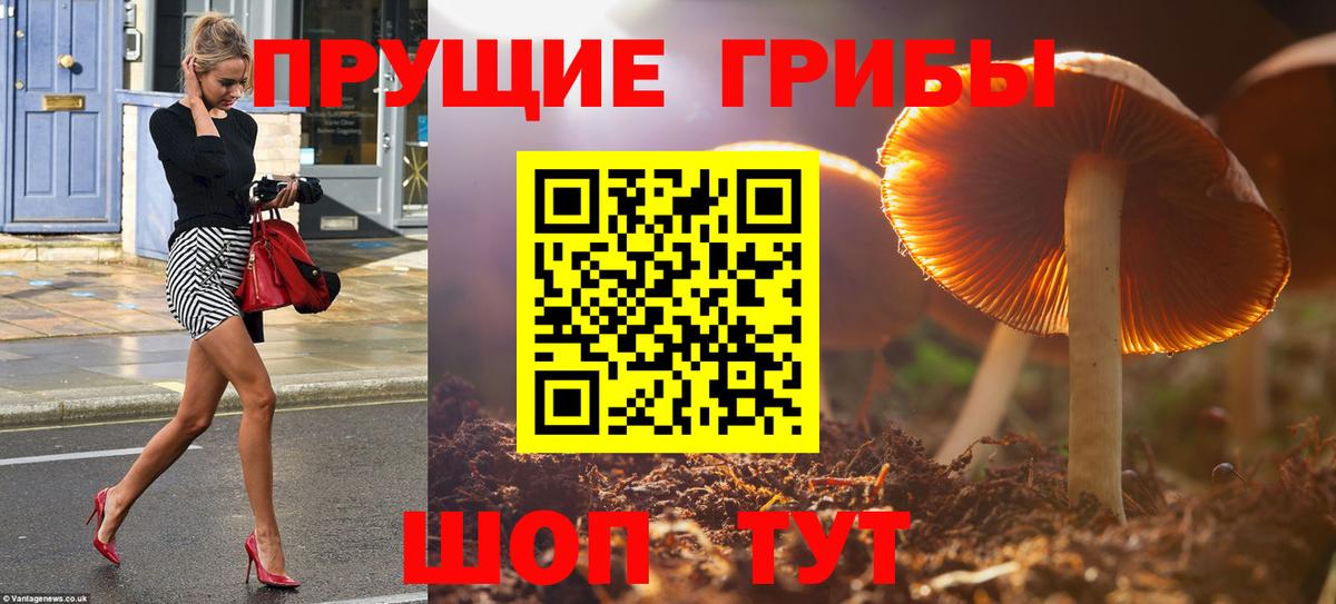 купить наркоту  Вход с VPN  Родники  Галлюциногенные грибы прущие грибы 