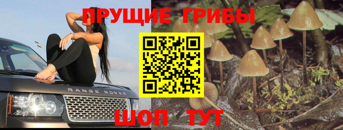 Галлюциногенные грибы мухоморы Родники